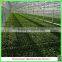 Venlo polycarbonate sheet garden greenhouses for sale