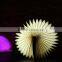 Creative Colorful LED Book Shape Night Light Beautiful Table Lamp Lights
