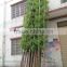 SJ030937 artificial indoor bamboo tree with leaves for decoration