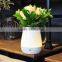 LED Table Vase Lamp with Built-in Lithium Battery