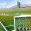 Cheap artificial grass carpet,waterproof artificial turf