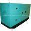 Canopy Diesel Generator