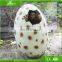 KAWAH Theme Park Picture Taken Lifelike Fiberglass Dinosaur Egg