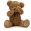 SHY BEAR