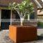 Cube Corten Steel Planter Boxes
