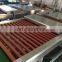 Horizontal Insulating Glass Washing Machinery / double glass washer