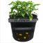 2020 hot sale 5 Gallon 7Gallon 10Gallon Felt Potato Planter Grow Bag