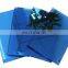 6mm high standard ford blue reflective glass