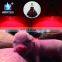 pig poultry infrared heating lamp for piggery poultry farm