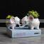Simple outdoor gardening creative succulent flower pot Elephant ceramic flower pot