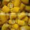 NON GMO Length 3-5cm 6-8cm IQF Frozen Sweet Corn Cut