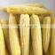 Sinocharm BRC Certified European USA IQF Frozen Baby Corn Whole
