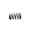 Shacman L3000/F3000/X3000/X6000 Truck Weichai WP10/WP12/WD12 Engine Spare Parts 61500050002 Outer Valve Spring