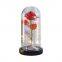 Hot Selling LED Light Decorative Rose in Glass Dome for Mother's Day Gifts Weddings Wholesale Supply
