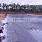 Blue Color Geomembrane