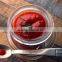 Delicious tomato paste with low price canned tomato paste