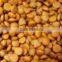 New Condition Pet Food Making Machine
