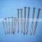 galvanized white zinc common nails