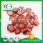 China Dehydrated Low Calorie Freeze Dried Strawberry