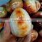 Factory Price Carnelian Agate Eggs Easter Eggs Gifts