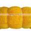 Chaohu Haoxiang Company Nylon Multifilament Fishing Net for Wholesale