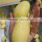 Frozen potato french fries machine/french fries making machine