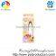 Bulk Buy from China Pet Nail Grinder, Pet Nail Polish