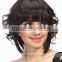 Wholesale new synthetic short afro curly hair style full lace wigs for black women