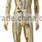 Colorful Chrome Male Mannequin