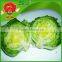 round luttuce iceberg luttuce