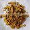 turmeric root extract powder 95% curcumin