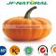 100% natural pumpkin extract powder ISO, GMP, HACCP, KOSHER, HALAL certificated