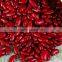 JSX myanmar red speckled kidney bean favorable price food grade red bean