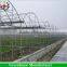 Reinforced plastic film wide multi span greenhouse