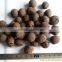 14-20mm Expanded Clay for hydroponics and gardening