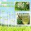 2015 Newest Natural Honey Of Pure Acacia Honey With Containing High Fructose For Fitting Kids