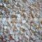 natural white river shell button blank