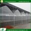 Hot sale europe type anti-dripping easy assembly plastic greenhouse tent