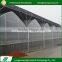 Hot sale europe type anti-dripping easy assembly plastic greenhouse tent