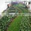 Vertical grass wall, garden artificial hanging green wall,artifiicial wall dropback