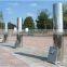 Stainless Steel Bollard/Traffic Barrier/Parking Bollard