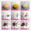Top sale decorative home decor handicraft party decoration