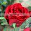 FLS08-1 GNW cheap artificial flower red rose for wedding decoration wedding flower making