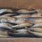 landfrozen mackerel 150-200g