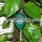 Low cost 3 in 1 PH /Moisture/Light hydroponic soil meter without battery