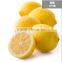 Yellow lemon for sale