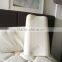 Best Selling Aloe Vera Memory Foam Pillow