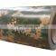 Special PPGI Flower Grain Prepainted Steel Coils and Plates from shandong