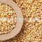 Premium Quality Organic Amaranth Seeds suppliers