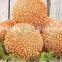 Automatic Grain Product Sesame Ball Making Machine for Sale Sesame Ball Rounder Price